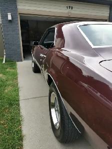 1968 Firebird - totally restored inside and out - Photo 2