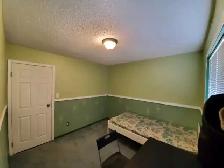 Room for rent - Photo 2