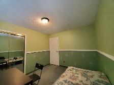 Room for rent - Photo 3