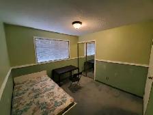 Room for rent - Photo 4