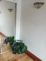 Grande chambre à louer près de la promenade Masson - Photo 2