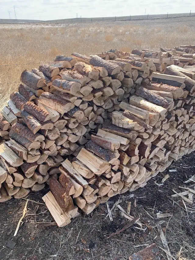 Dry Tamarack Firewood/ Free Delivery
