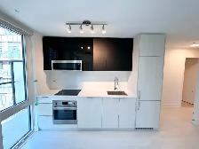 Jarvis and Carlton 2  1 Bed 2 Bath Condo for Rent at Downtown - Photo 3