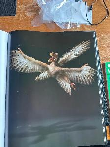 GIANT SIZE DINOSAUR BOOK - Photo 5