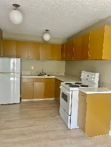 FOR RENT 1 & 2 Bd apartments - 11916 105 St Edmonton (area NAIT) - Photo 3