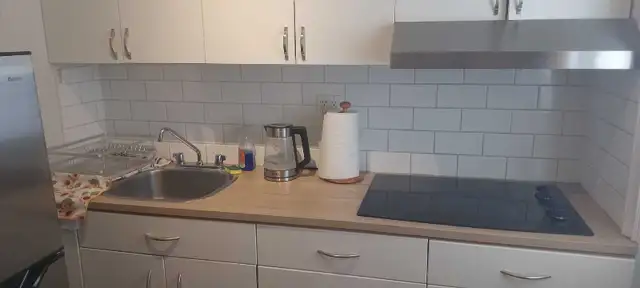 Bachelors Apartment- Month of May Sublet - Photo 4