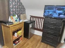 Large Furnished Room for Rent from May 1 to Sept 1/26 - Photo 3