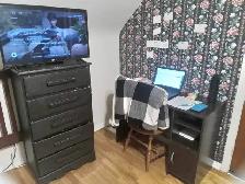 Large Furnished Room for Rent from May 1 to Sept 1/26 - Photo 5