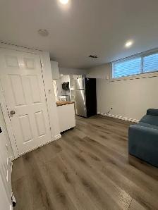 basement bachelor apartment in heart of north York - Photo 2