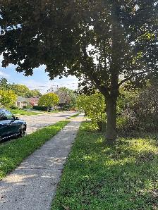 basement bachelor apartment in heart of north York - Photo 9