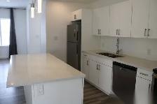 3 Bed 2.5 Bath Apartment Available: Garden City, Winnipeg - Photo 7