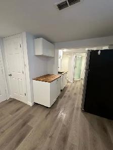basement bachelor apartment in heart of north York - Photo 2