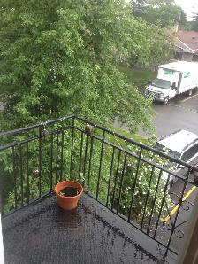 MAY- Large 3 bed -1500sq.ft , GENERAL HOSPITAL ,Alta Vista - Photo 8