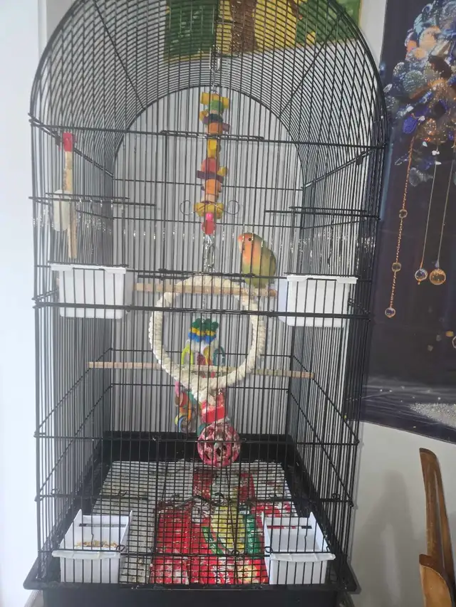 inseparable a vendre avec tout equipement