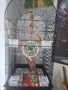 inseparable a vendre avec tout equipement