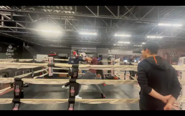 2-on-1 Home Boxing Instruction – Personalized Training - Photo 2