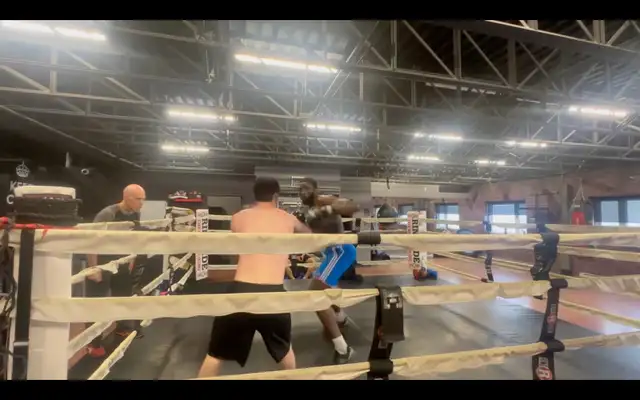 2-on-1 Home Boxing Instruction – Personalized Training - Photo 5