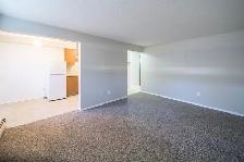 Budget Friendly Alberta Side One Bedroom Apartment - Photo 11
