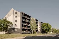 Loft à louer Sainte-Foy / Sillery juillet 2026 - Photo 4