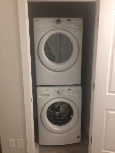 NEW FURNISHED 2 BEDROOM BASEMENT! LEGAL SUITE! - Photo 6