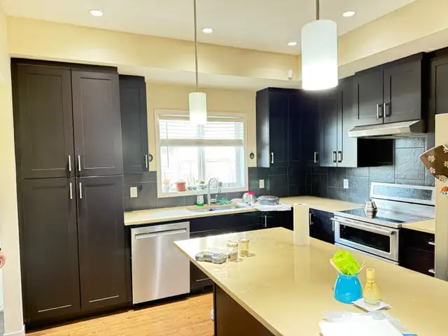 cabinet spray paint - Photo 6