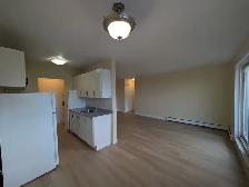 1 Bedroom Apartment Available at 2685 King St E, Hamilton!! - Photo 3