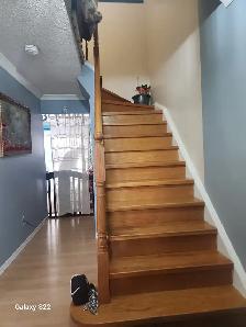 Bedroom for Rent @ Warden and Sheppard Ave