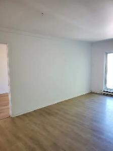 Appartement 4 1/2 Montreal Nord - 4 1/2 Apartment Montreal North - Photo 4
