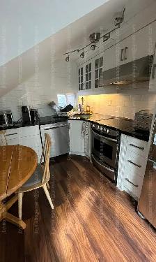 Bright and spacious one bedroom apartment in the Annex - Photo 4