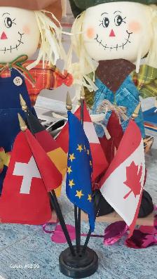 Annual General Meeting - Photo 3