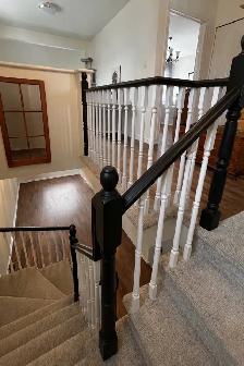 Professional Painting - Ottawa - Photo 6