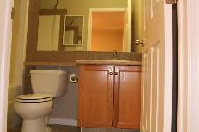 Spacious 3 Bed, 2.5 Bath Home in Terwillegar Towne - Photo 6