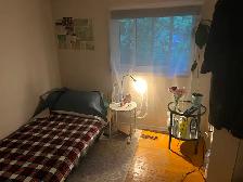 Bright & Spacious Room for Rent – Applewood Heights, Mississauga - Photo 6