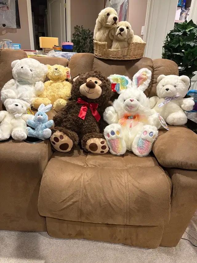 New Stuffed Bunnies/Bear