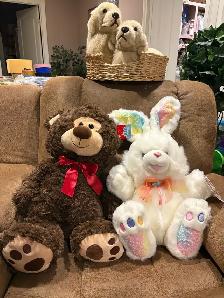 New Stuffed Bunnies/Bear - Photo 3