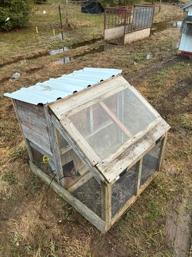 Chicken coop for sale