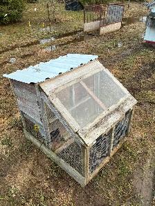 Chicken coop for sale