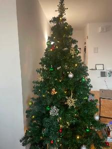6ft Christmas Tree w/ Lights   Ornaments – $50 MUST GO