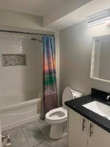 One Bedroom Basement (Pine Valley/Highway 7) - Photo 5