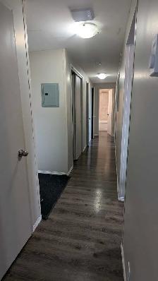 2 Bedroom, $500 off rent, Available Immediately - Photo 5