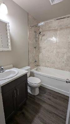 2 Bedroom, $500 off rent, Available Immediately - Photo 8
