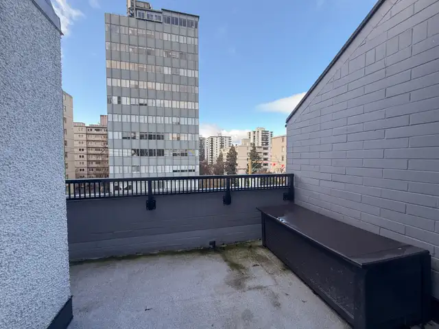 Luxury Fully Renovated Corner Unit with Huge Private Deck & View - Photo 6