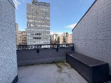 Luxury Fully Renovated Corner Unit with Huge Private Deck & View - Photo 6