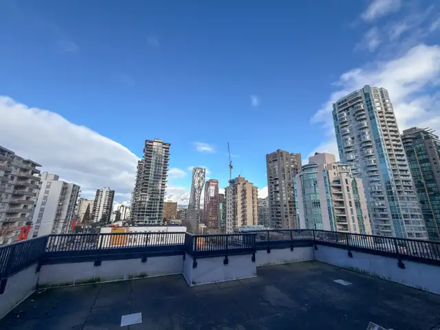 Luxury Fully Renovated Corner Unit with Huge Private Deck & View - Photo 10