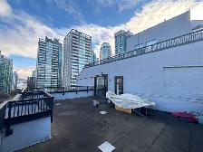 Luxury Fully Renovated Corner Unit with Huge Private Deck & View - Photo 11