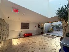 Luxury Fully Renovated Corner Unit with Huge Private Deck & View - Photo 12