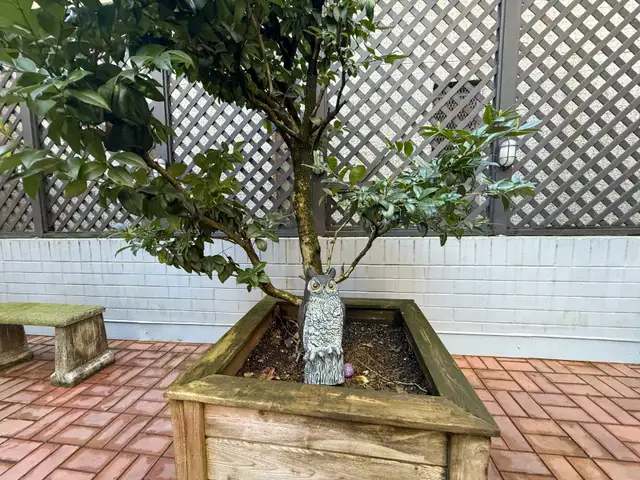 Luxury Fully Renovated Corner Unit with Huge Private Deck & View - Photo 15