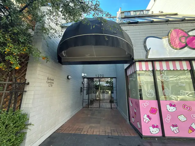 Luxury Fully Renovated Corner Unit with Huge Private Deck & View - Photo 18