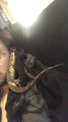 pet sitting  (overnights & days) - Photo 5