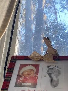 pet sitting  (overnights & days) - Photo 10